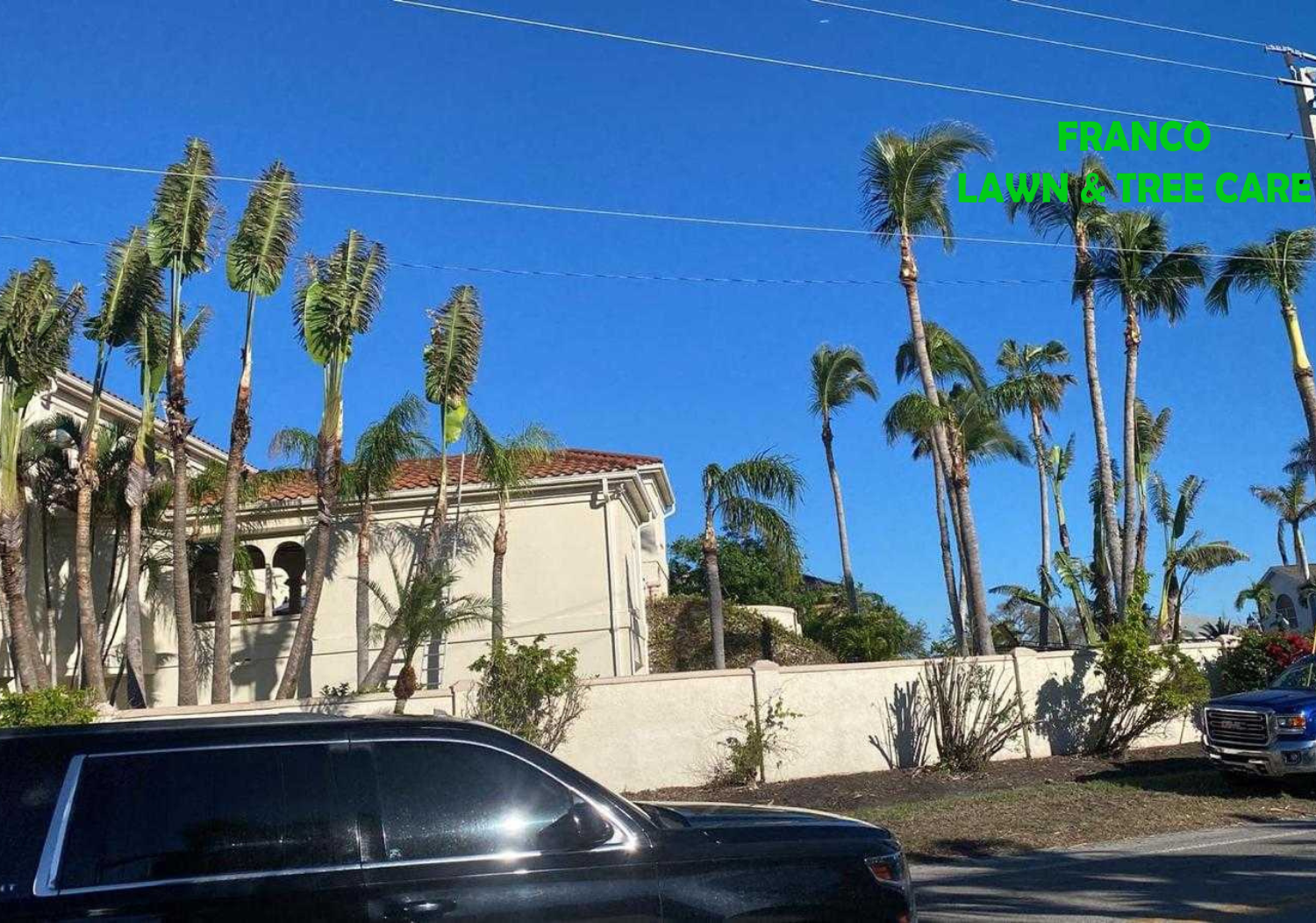Franco’s Lawn And Care (10)