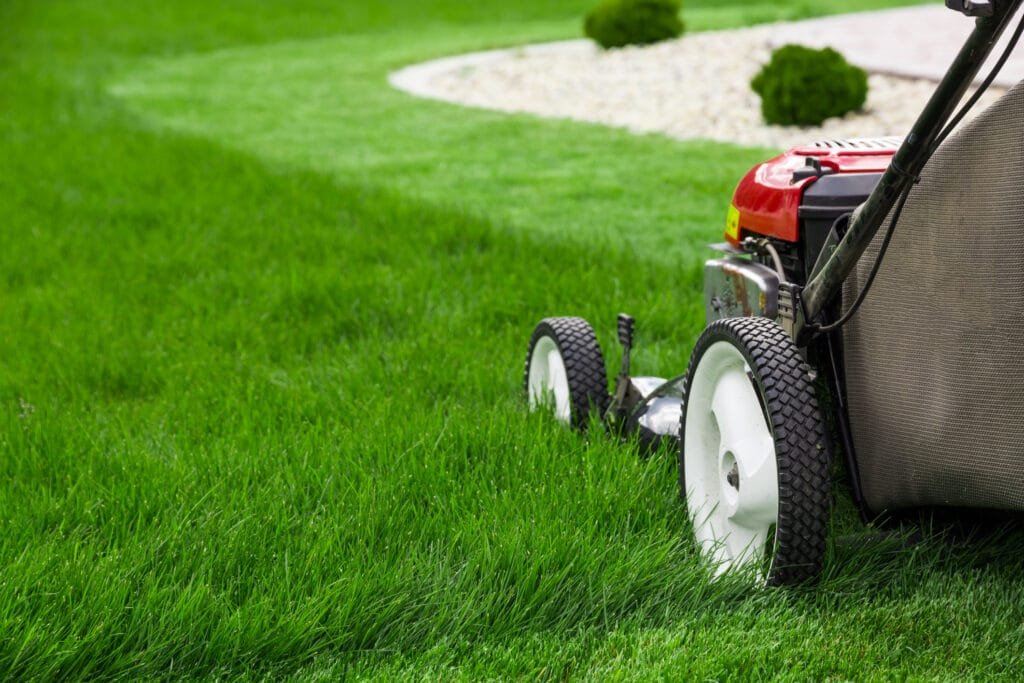 Franco’s Lawn And Care (8)